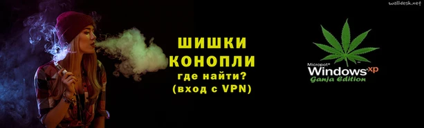 шишки Апатиты