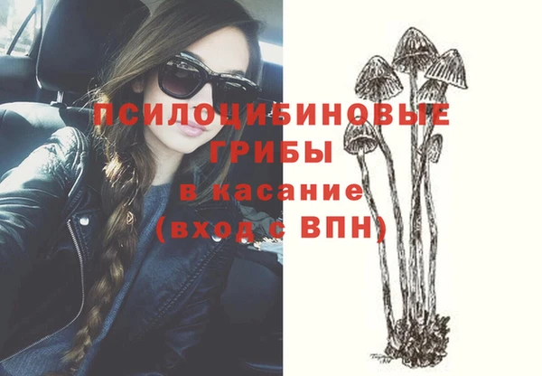ГАЛЛЮЦИНОГЕННЫЕ ГРИБЫ Михайловск